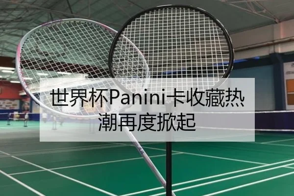 世界杯Panini卡收藏热潮再度掀起