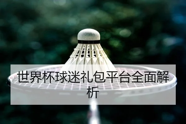 世界杯球迷礼包平台全面解析