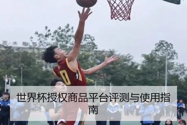 世界杯授权商品平台评测与使用指南