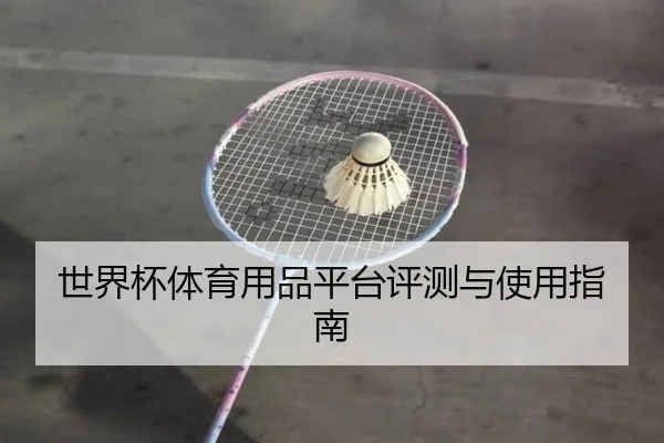 世界杯体育用品平台评测与使用指南