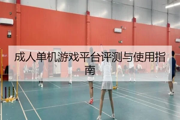 成人单机游戏平台评测与使用指南